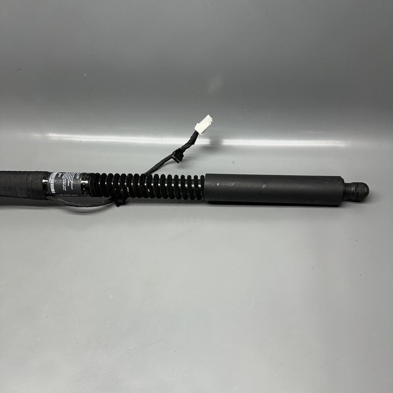 1063440-00-D TESLA MODEL X DOOR SHOCK STRUT REAR 2016 2017 2018 2019 2020 OEM 1063440-00-D