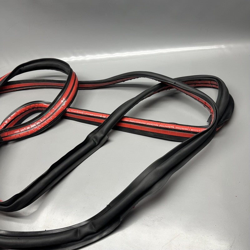 1032469-75-C TESLA MODEL X PRIMARY DOOR SEAL LEFT REAR 2016 17 18 19 2020 OEM 1032469-75-C