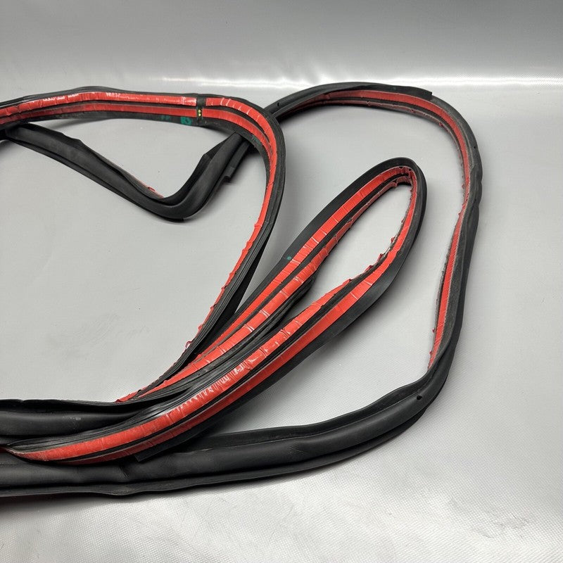 1032470-00-C TESLA MODEL X PRIMARY DOOR SEAL RIGHT REAR 2016 17 18 19 2020 OEM 1032470-00-C