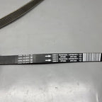 239616 MASERATI GRANTURISMO AC COMPRESSOR SERPENTINE BELT 2009 10 2011 2012 OEM 239616