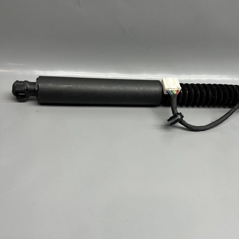1063440-01-D TESLA MODEL X DOOR STRUT SHOCK REAR 2016 2017 2018 2019 2020 OEM 1063440-01-D