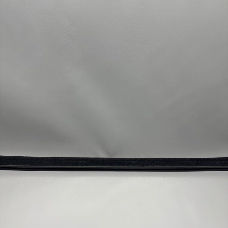 TESLA MODEL 3 DOOR WINDOW MOLDING LEFT REAR 2017 2018 2019 2020 OEM 10