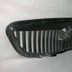 20828544 BUICK ENCLAVE GRILLE 2008 2009 2010 2011 2012 OEM