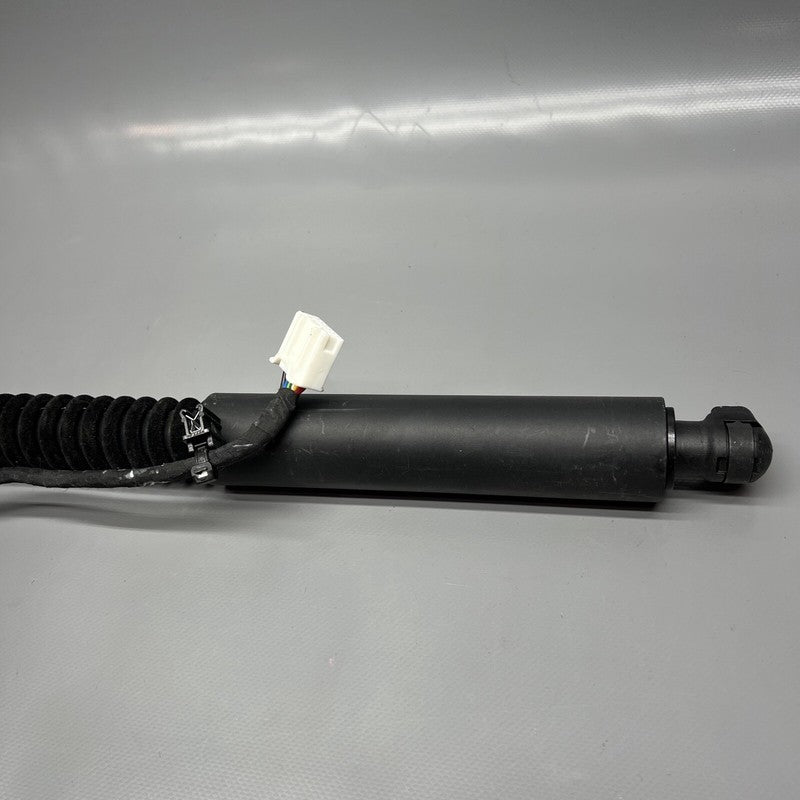 1063440-01-F TESLA MODEL X DOOR STRUT SHOCK REAR 2016 2017 2018 2019 20 2021 OEM 1063440-01-F
