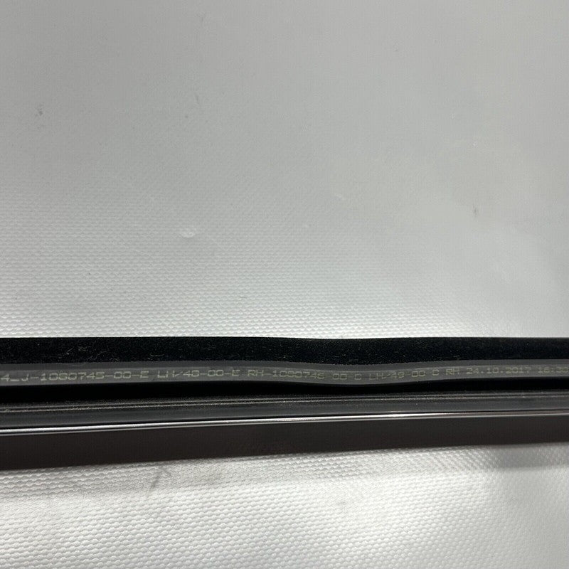 1080748-01-J TESLA MODEL 3 DOOR WINDOW MOLDING RIGHT REAR 2017 18 19 20 21 2022 1080748-01-J