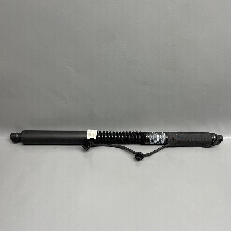 1063440-01-D TESLA MODEL X DOOR STRUT SHOCK REAR 2016 2017 2018 2019 2020 OEM 1063440-01-D