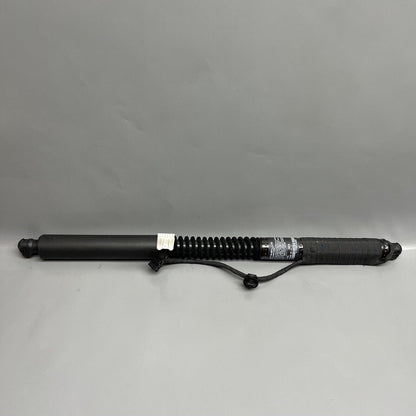 1063440-01-D TESLA MODEL X DOOR STRUT SHOCK REAR 2016 2017 2018 2019 2020 OEM 1063440-01-D