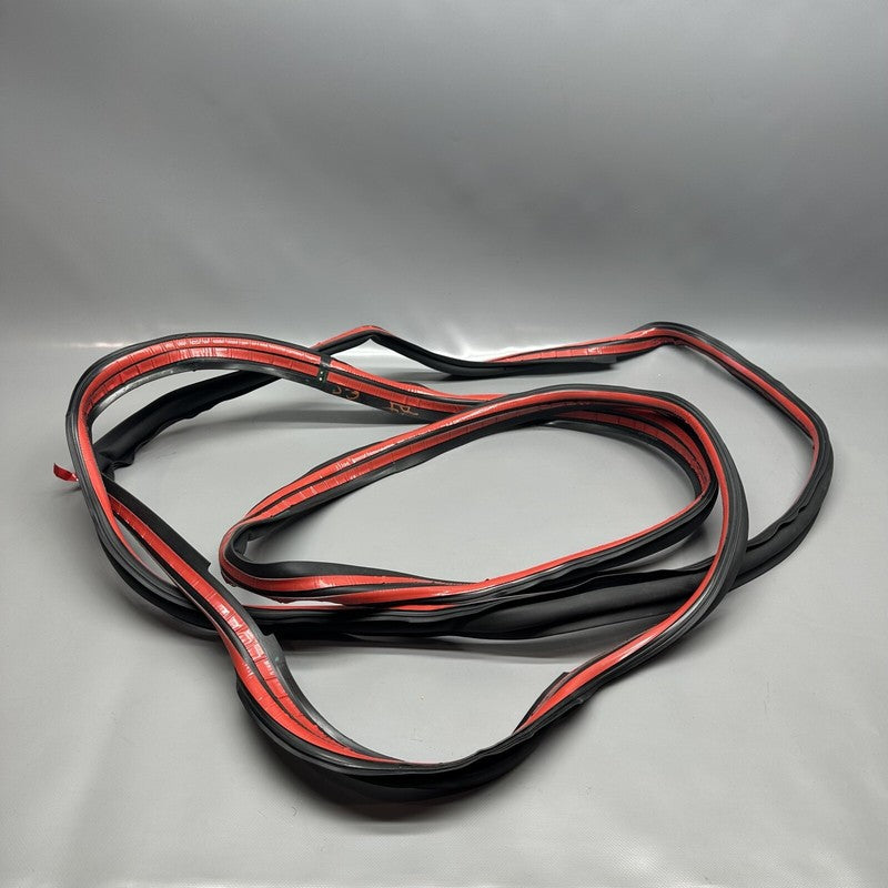 1032469-00-E TESLA MODEL X PRIMARY DOOR SEAL LEFT REAR 2016 17 18 19 2020 OEM 1032469-00-E