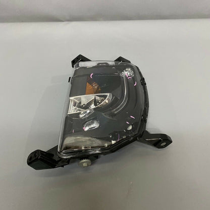 6005913-00-G TESLA MODEL S FOGLIGHT LEFT DRIVER SIDE 2016 2017 2018 2019 LED OEM