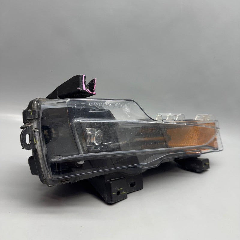 MODEL 3 TESLA MODEL 3 FOG LIGHT RIGHT PASSENGER 2017 2018 2019 2020 2021 2022 OEM