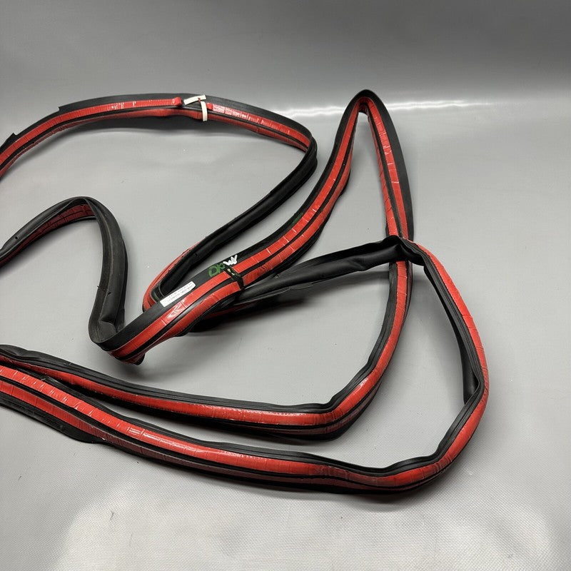1032469-75-C TESLA MODEL X PRIMARY DOOR SEAL LEFT REAR 2016 17 18 19 2020 OEM 1032469-75-C