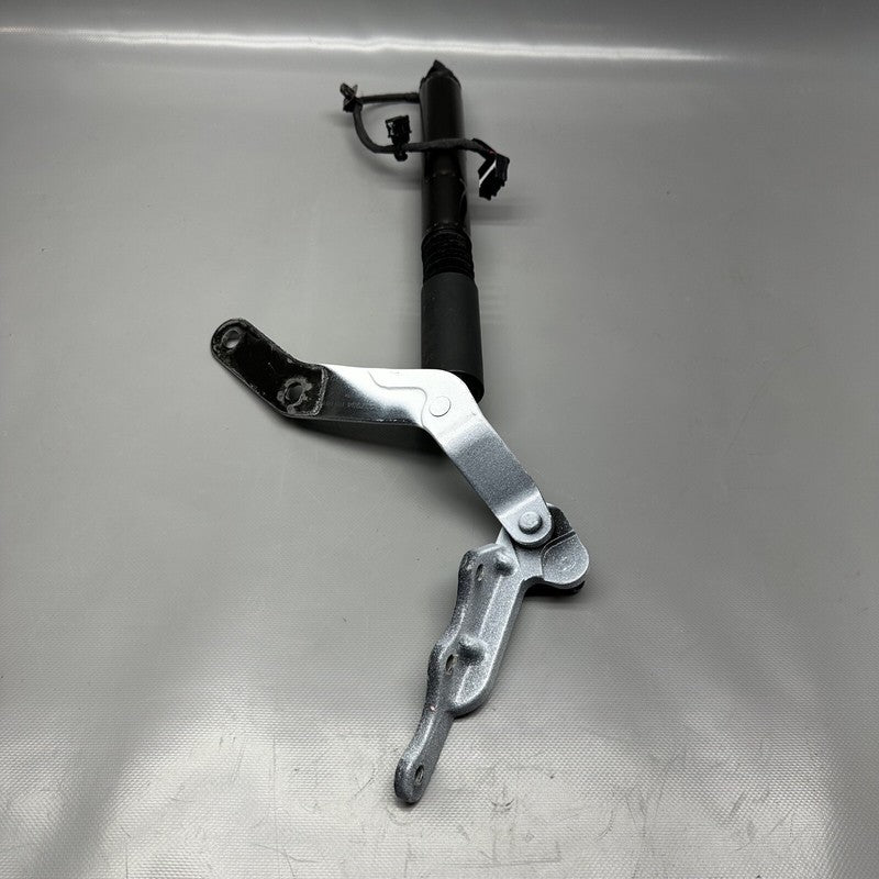 1063441-00-C TESLA MODEL X DOOR STRUT SECONDARY 2016 2017 2018 2019 2020 OEM 1063441-00-C