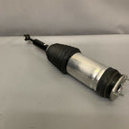 1027461-00-G TESLA MODEL X REAR AIR SPRING 2017 2018 2019 OEM 1027461-00-G