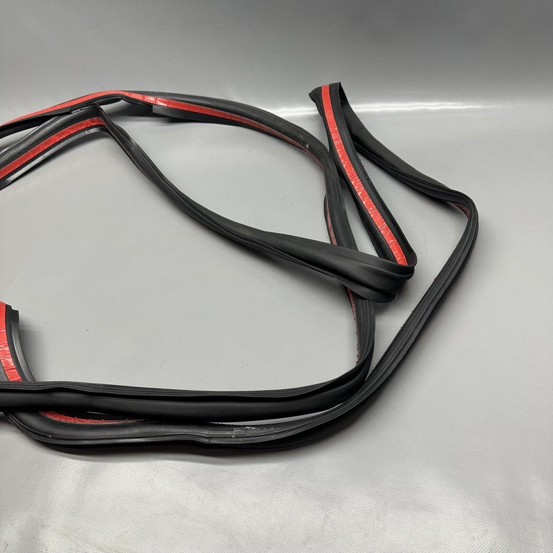 1032469-00-E TESLA MODEL X PRIMARY DOOR SEAL LEFT REAR 2016 17 18 19 2020 OEM 1032469-00-E