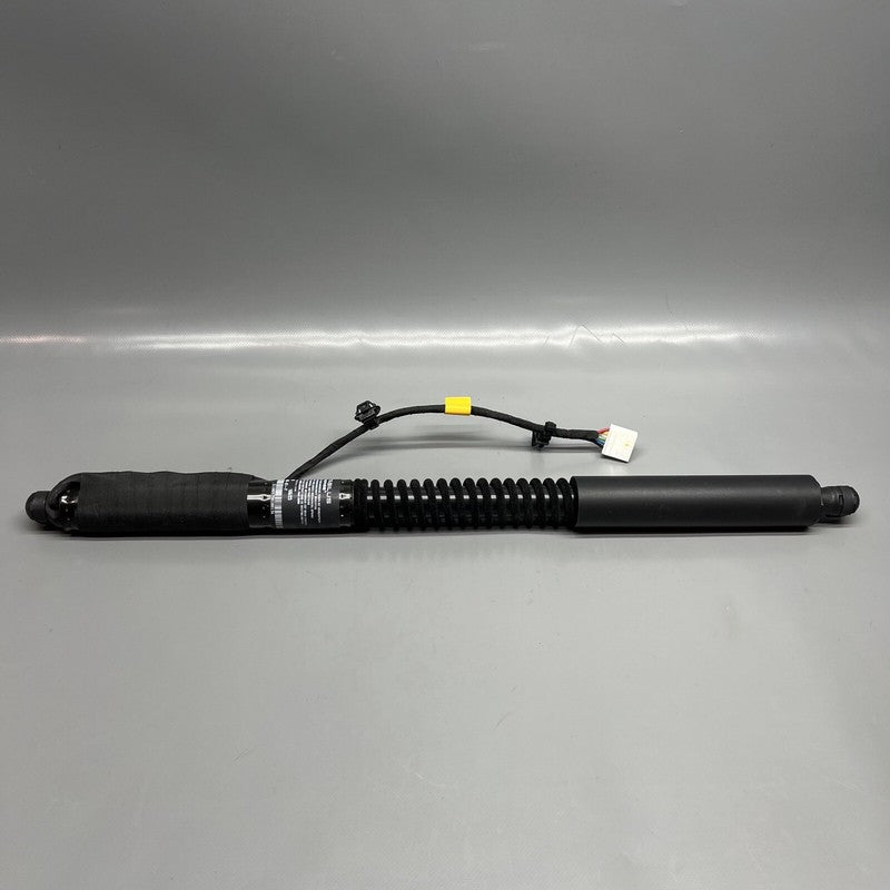 1063440-01-F TESLA MODEL X DOOR STRUT SHOCK REAR 2016 2017 2018 2019 20 2021 OEM 1063440-01-F