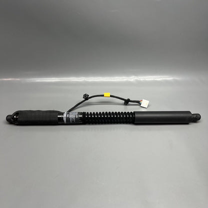 1063440-01-F TESLA MODEL X DOOR STRUT SHOCK REAR 2016 2017 2018 2019 20 2021 OEM 1063440-01-F