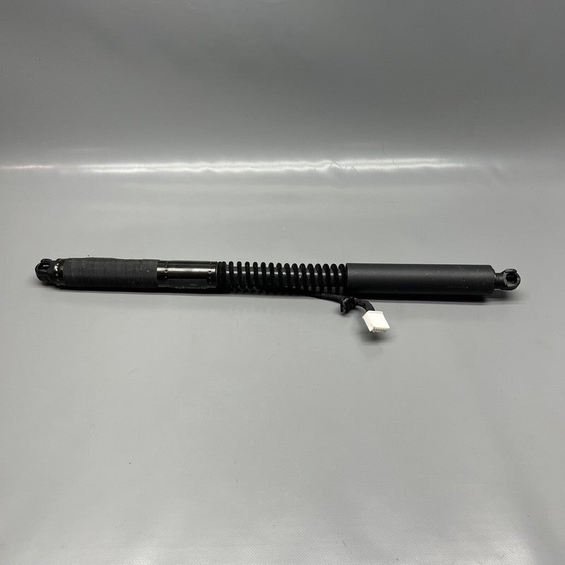 1063440-01-F TESLA MODEL X DOOR STRUT SHOCK REAR 2016 2017 2018 2019 20 2021 OEM 1063440-01-F