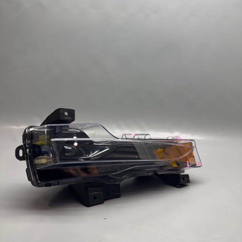 1077390-00-F TESLA MODEL 3 FOG LIGHT RIGHT PASSENGER 2017 2018 2019 2020 2021 2022 OEM