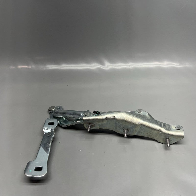 1092820-00-C TESLA MODEL 3 TAILGATE TRUNK LID HINGE LEFT 2017 2018 2019 2020 OEM 1092820-00-C