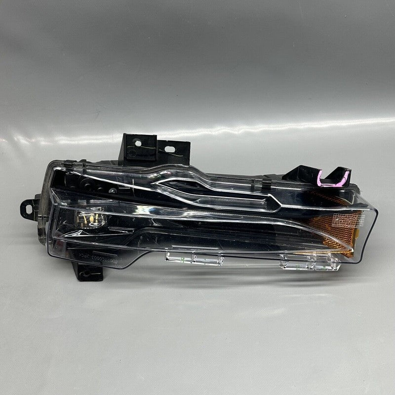 1077391-00-F TESLA MODEL 3 FOG LIGHT LEFT DRIVER 2017 18 19 20 21 22 2023 OEM 1077391-00-F