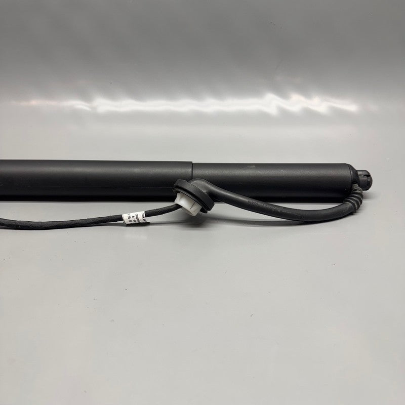 TESLA MODEL Y GATE STRUT SHOCK LEFT 2020 2021 2022 2023 2024 OEM 15006