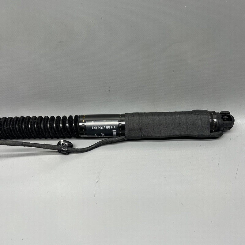 1063440-00-C TESLA MODEL X DOOR SHOCK STRUT REAR 2016 2017 2018 2019 2020 OEM 1063440-00-C
