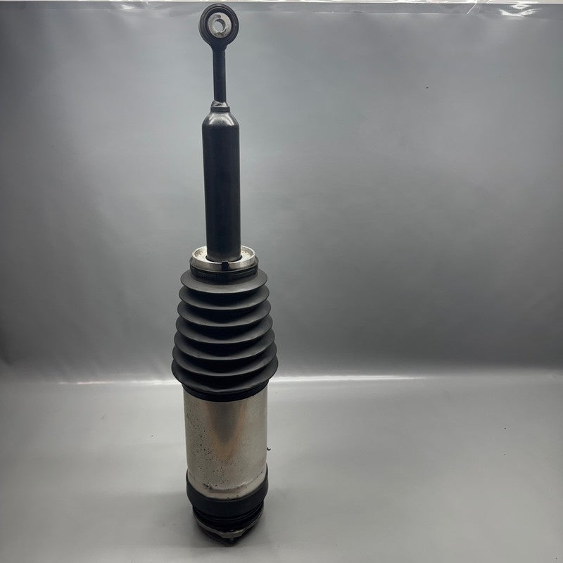 TESLA MODEL X AIR SHOCK STRUT REAR 2016 2017 2018 2019 2020 OEM 102746
