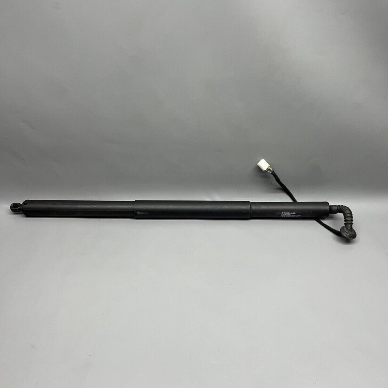 1065664-00-B TESLA MODEL X LIFT GATE SHOCK STRUT LEFT 2016 2017 2018 19 2020 OEM 1065664-00-B