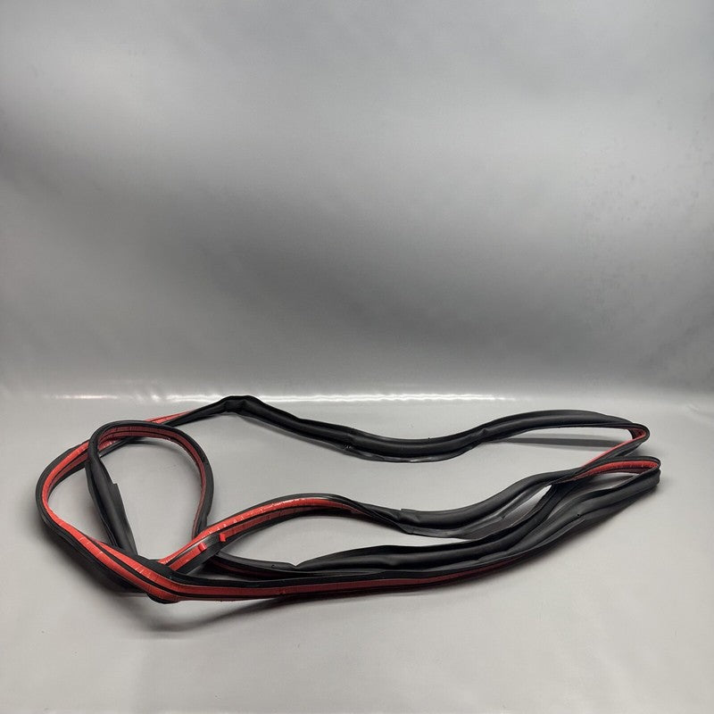 1032469-00-E TESLA MODEL X PRIMARY DOOR SEAL LEFT REAR 2016 17 18 19 2020 OEM 1032469-00-E