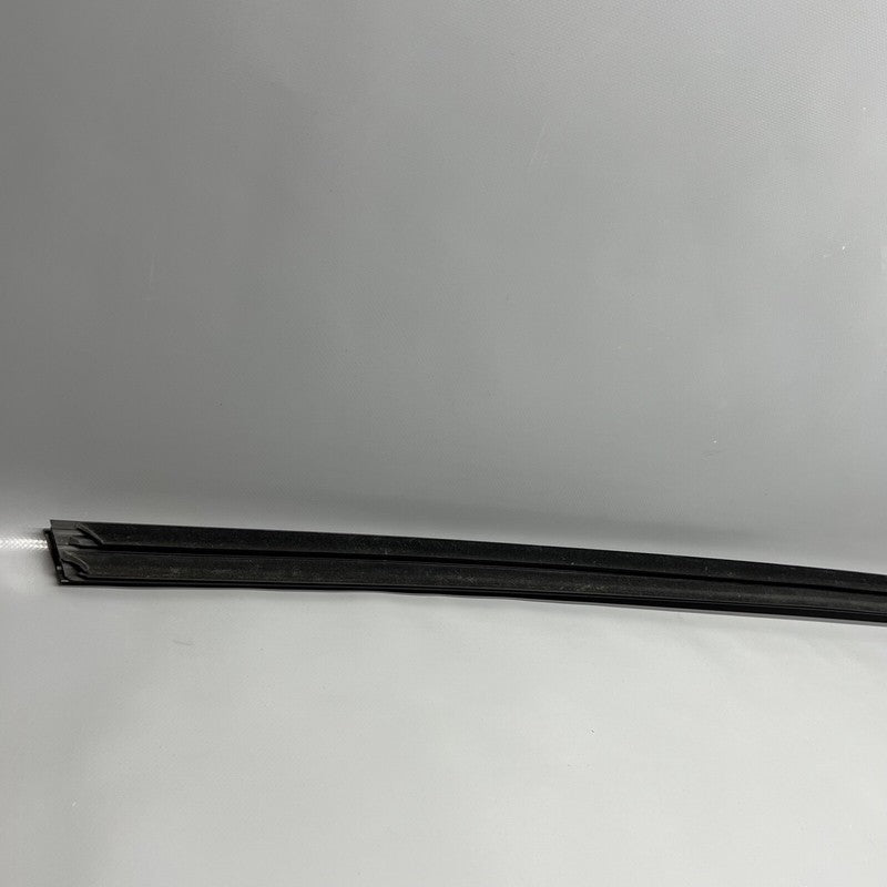 TESLA MODEL Y DOOR WINDOW MOLDING LEFT REAR 2020 2021 2022 2023 OEM 