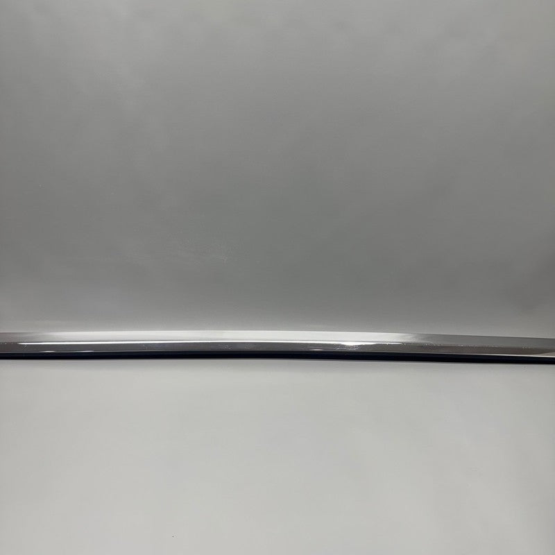 TESLA MODEL X DOOR WINDOW MOLDING LEFT FRONT 2016 17 18 19 2020 OEM 10