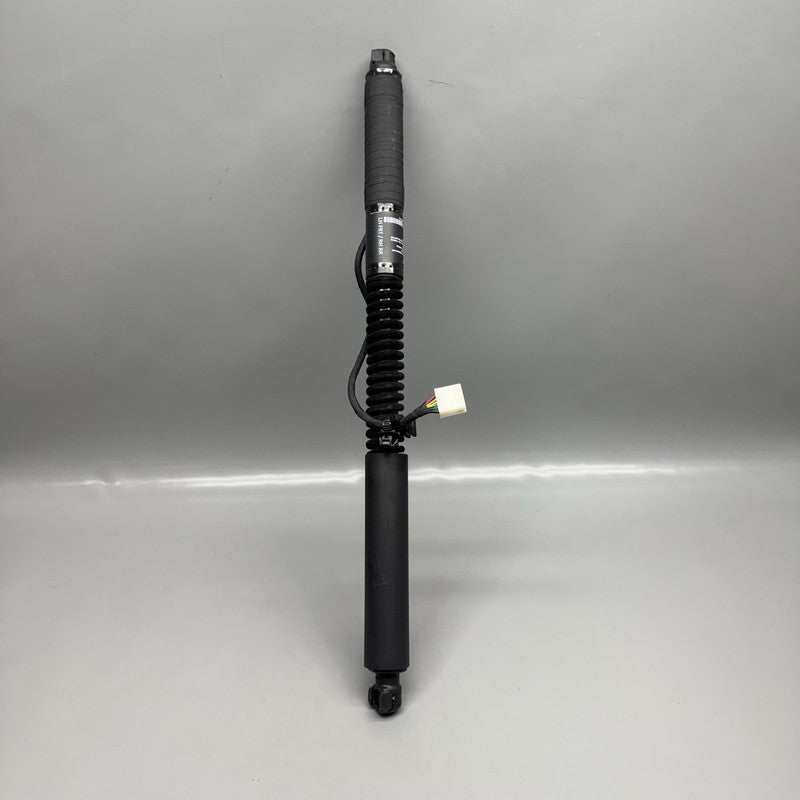 1063440-01-D TESLA MODEL X DOOR STRUT SHOCK REAR 2016 2017 2018 2019 2020 OEM 1063440-01-D