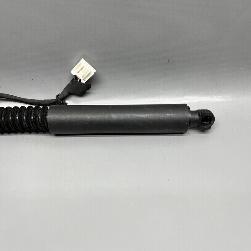 1063440-00-C TESLA MODEL X DOOR SHOCK STRUT REAR 2016 2017 2018 2019 20 2021 OEM 1063440-00-C
