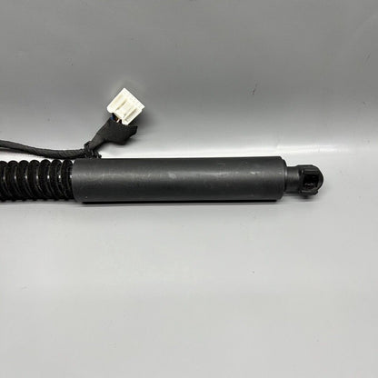 1063440-00-C TESLA MODEL X DOOR SHOCK STRUT REAR 2016 2017 2018 2019 20 2021 OEM 1063440-00-C