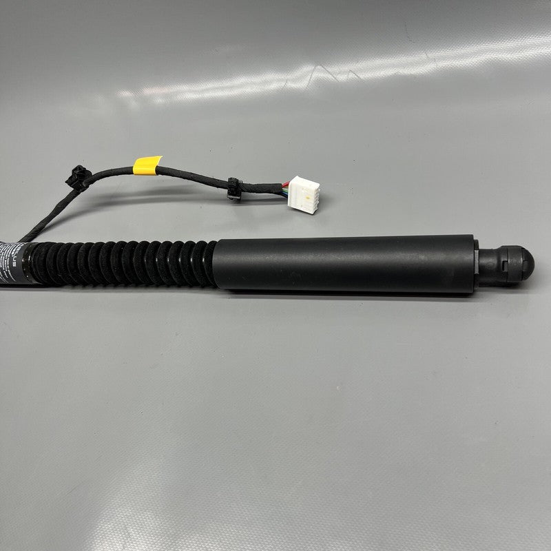 1063440-01-F TESLA MODEL X DOOR STRUT SHOCK REAR 2016 2017 2018 2019 20 2021 OEM 1063440-01-F