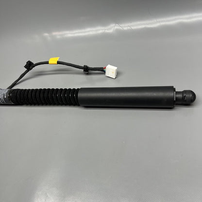 1063440-01-F TESLA MODEL X DOOR STRUT SHOCK REAR 2016 2017 2018 2019 20 2021 OEM 1063440-01-F