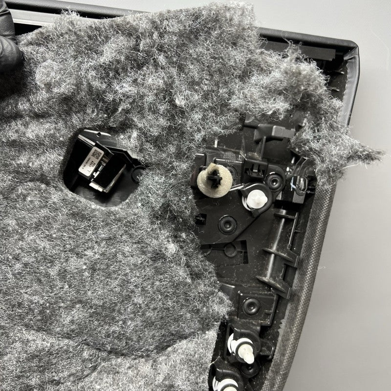 MODEL 3 TESLA MODEL 3 DOOR PANEL LEFT REAR 2018 2019 2020 2021 2022 OEM 