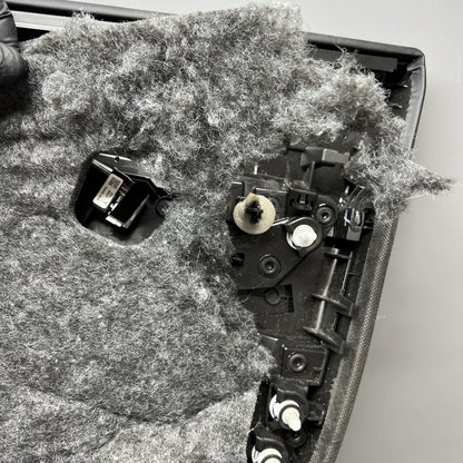 MODEL 3 TESLA MODEL 3 DOOR PANEL LEFT REAR 2018 2019 2020 2021 2022 OEM 