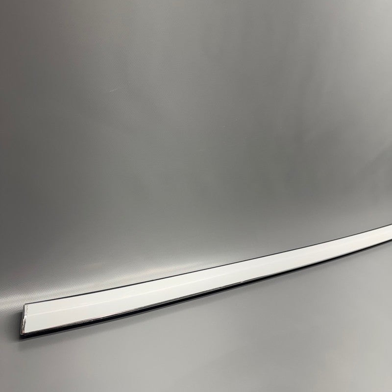 TESLA MODEL 3 DOOR WINDOW MOLDING RIGHT REAR 2017 2018 2019 2020 OEM