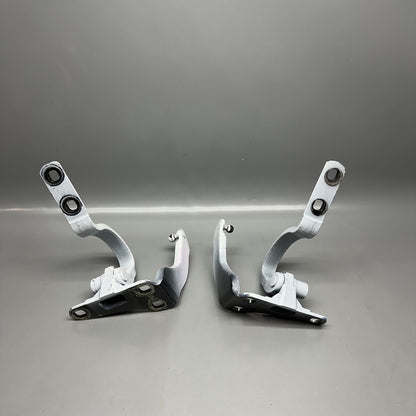 1037844 TESLA MODEL X HINGE DOOR LEFT RIGHT 2016 2017 2018 2019 2020 OEM 1037844