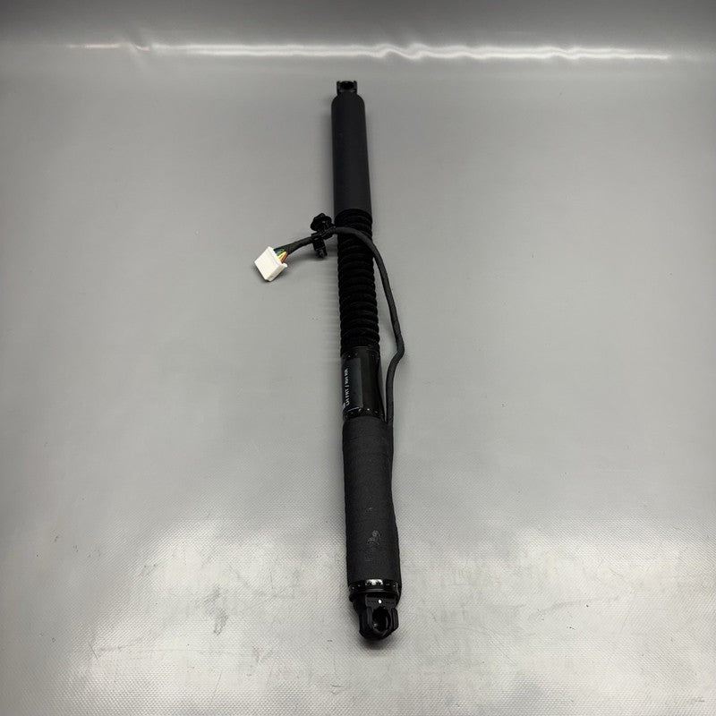 1063440-01-D TESLA MODEL X DOOR STRUT SHOCK REAR 2016 2017 2018 2019 2020 OEM 1063440-01-D
