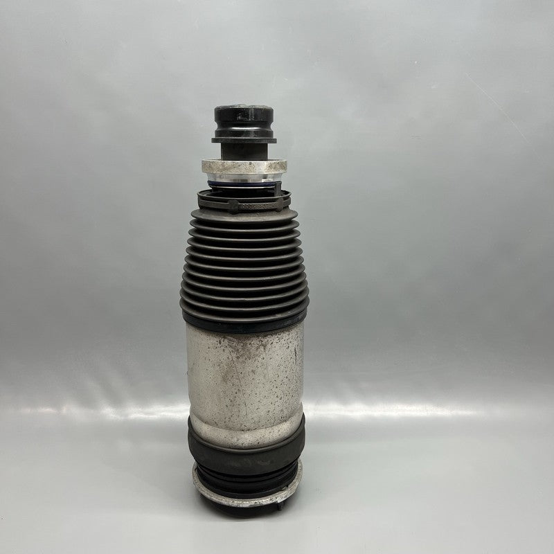 1027361-00-E TESLA MODEL X AIR SHOCK ABSORBER STRUT FRONT 2016 2017 2018 2019 2020 OEM 