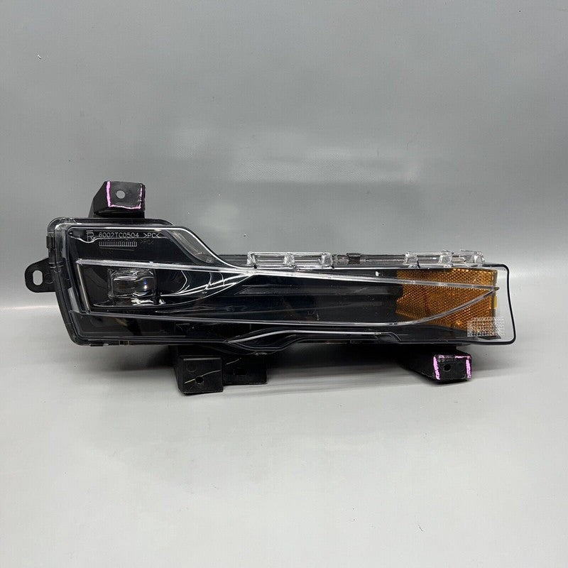 1077392-00-F TESLA MODEL 3 FOG LIGHT RIGHT PASSENGER 2017 18 19 20 21 2022 OEM 1077392-00-F