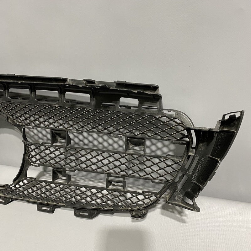 A2138880123 MERCEDES BENZ E300 GRILLE MESH A2138880123 2016 2017 2018 E400 OEM