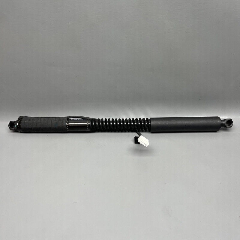 1063440-00-D TESLA MODEL X DOOR SHOCK STRUT REAR 2016 2017 2018 2019 2020 OEM 1063440-00-D