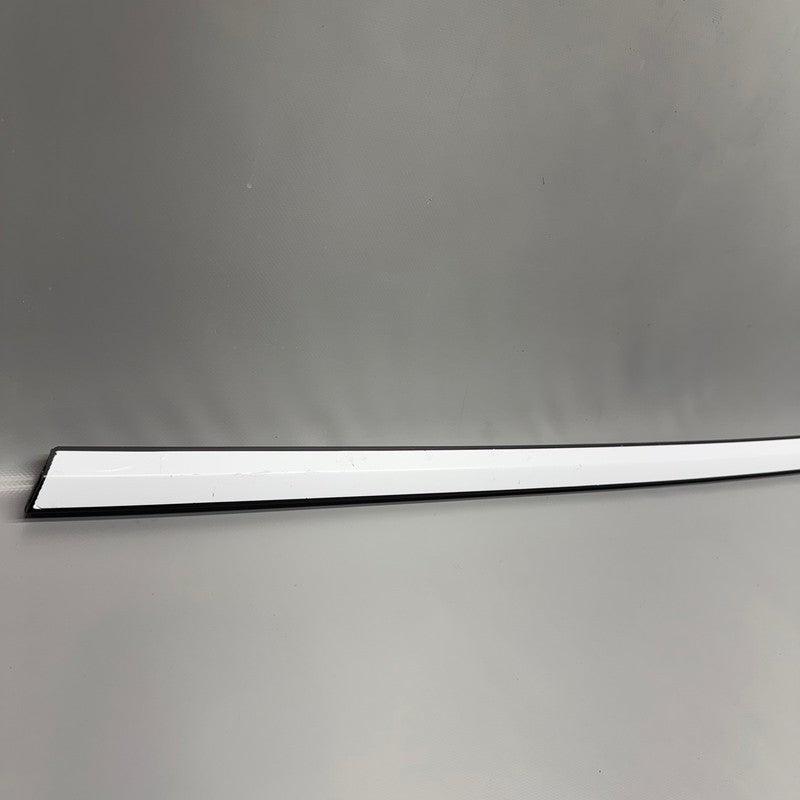 1080681-00-H TESLA MODEL 3 DOOR BELT MOLDING 2017 2018 2019 2020 2021 2022 2023 2024 2025 OEM