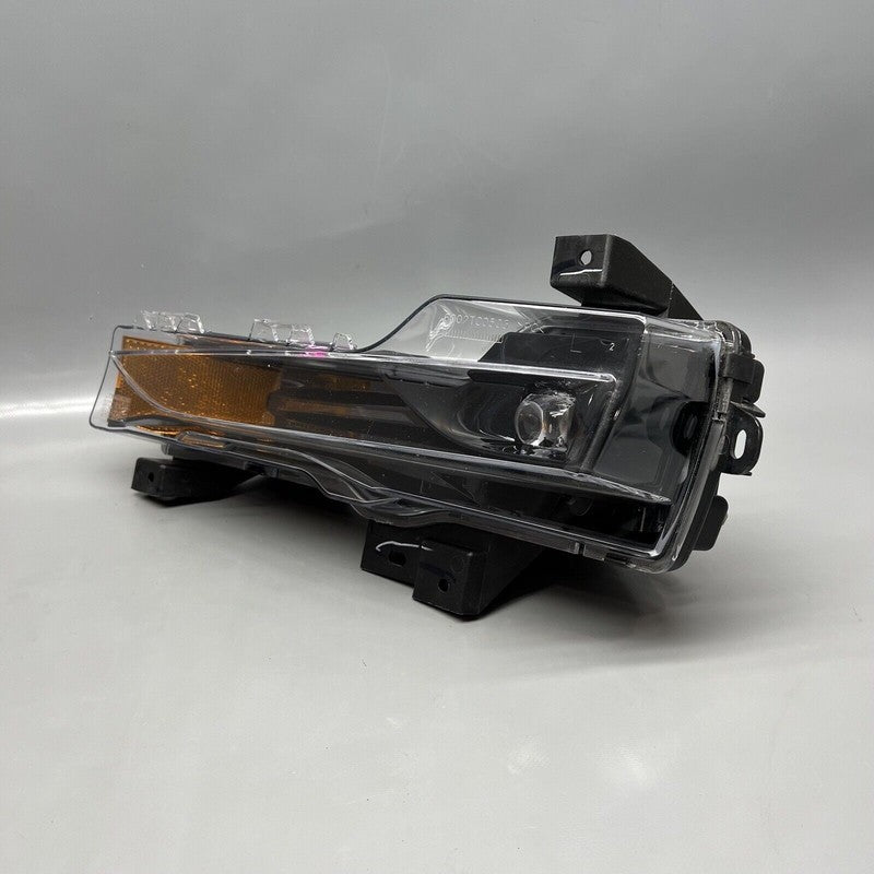 1077391-00-F TESLA MODEL 3 FOG LIGHT LEFT DRIVER 2017 18 19 20 21 22 2023 OEM 1077391-00-F