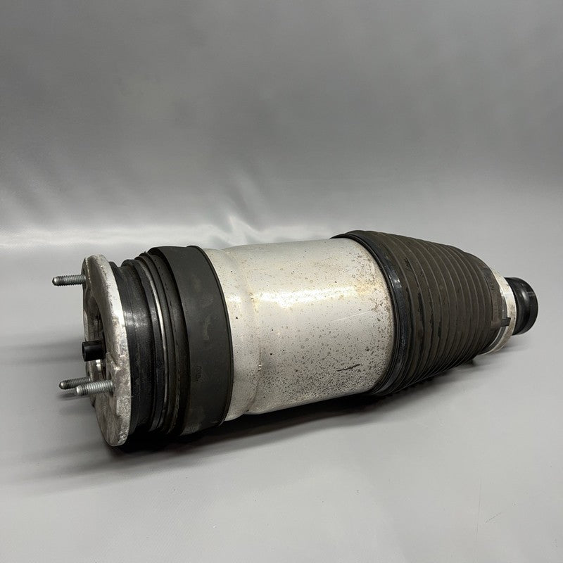 1027361-00-E TESLA MODEL X AIR SHOCK ABSORBER STRUT FRONT 2016 2017 2018 2019 2020 OEM 