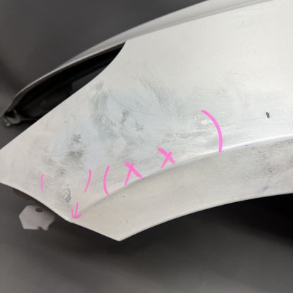1091094-F TESLA MODEL 3 FENDER LEFT DRIVER 2017 2018 2019 2020 2021 22 2023 OEM 1091094-F
