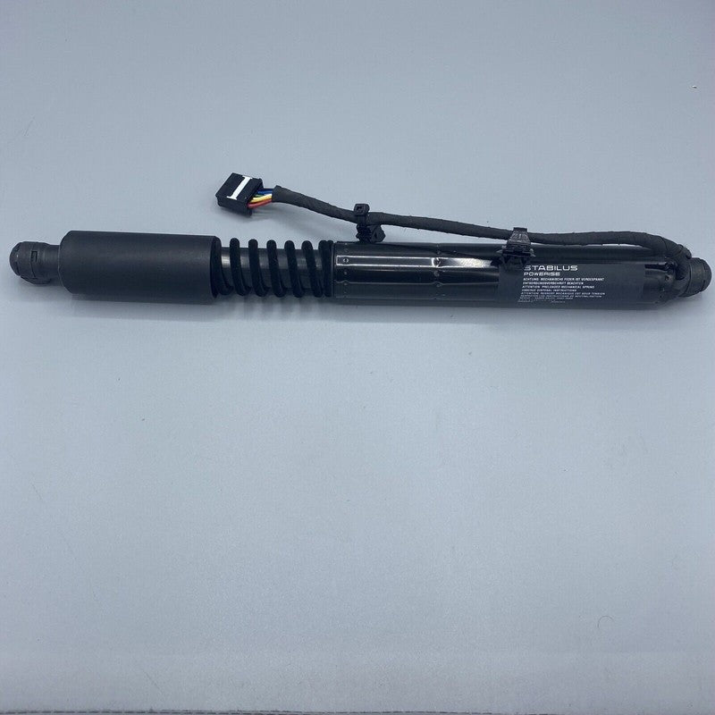 TESLA MODEL X LIFTGATE SHOCK STRUT REAR 2016 2017 2018 2019 2020 OEM